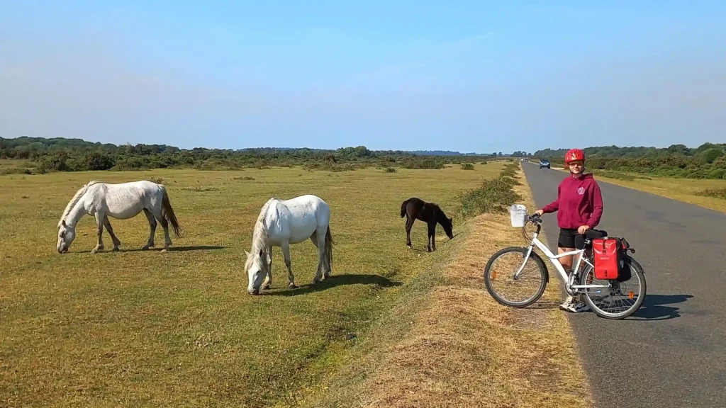 Ever Prel standing on a country road as wild horses graze on grass nearby in southern England
