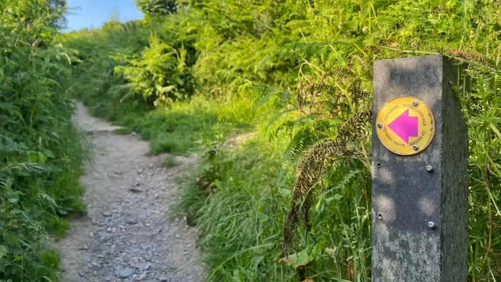Trail sign marking the Bog of the Frogs Loop on the Howth Cliff Walk in Ireland, surrounded by lush Irish vegetation