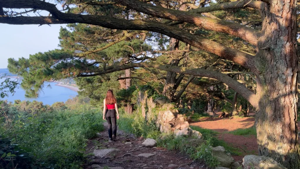 ver Prel walking through the woods on Killiney Hill surrounded by pine trees Title: Ever Prel walking in Killiney Hill Woods among tall pine trees