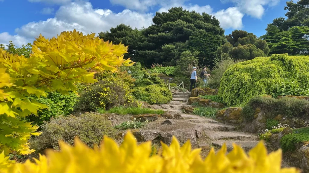 Rock Garden at Royal Botanic Gardens in Edinburgh with various plants and rocks