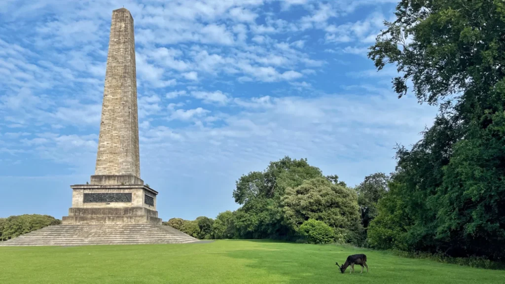 Deer grazing near the Wellington Monument in Phoenix Park, Dublin on a sunny day