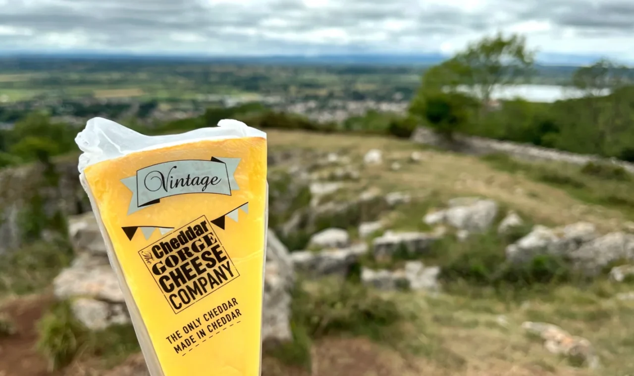 Block of vintage Cheddar cheese from Cheddar Gorge Cheese Company with greenery in the background
