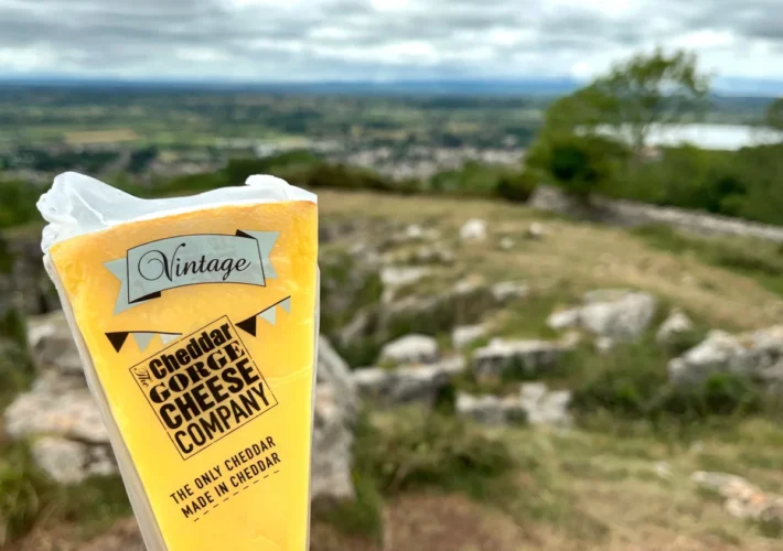 Block of vintage Cheddar cheese from Cheddar Gorge Cheese Company with greenery in the background