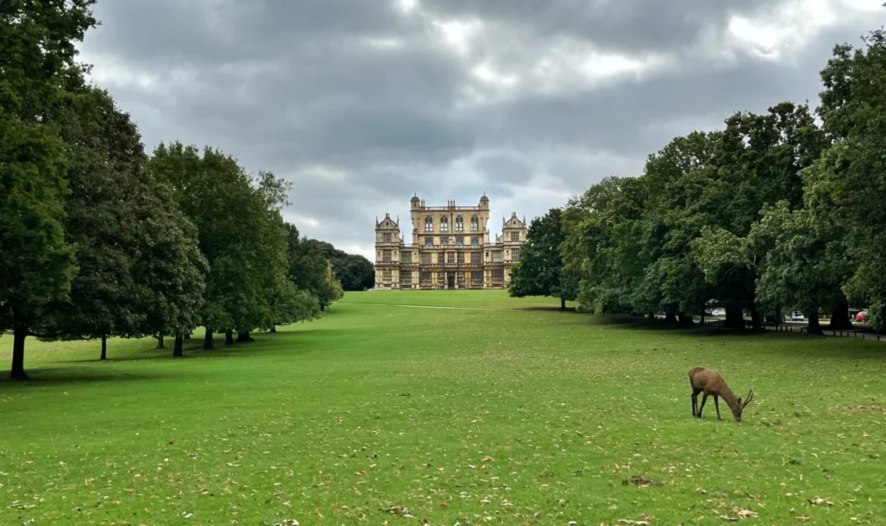 Wollaton Hall in Nottingham England with a deer grazing on the lawn and trees on either side