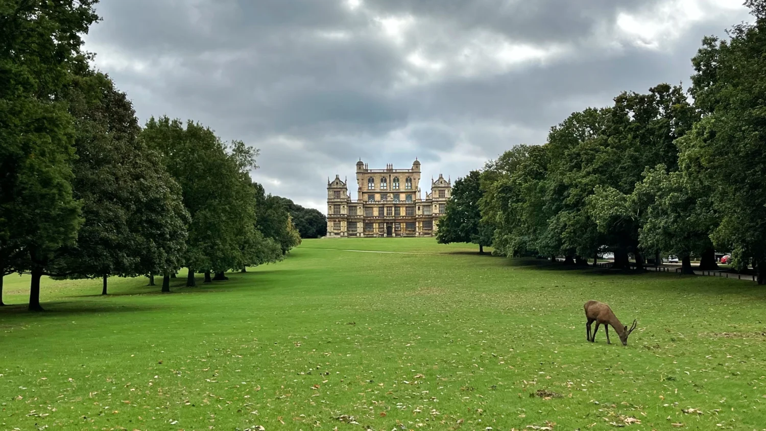 Deer grazing in front of Wollaton Hall