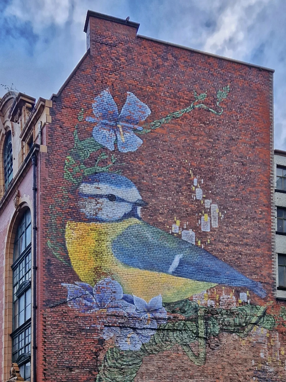 Faunagraphic blue tit mural painted on a brick gable wall on Newton Street, Manchester