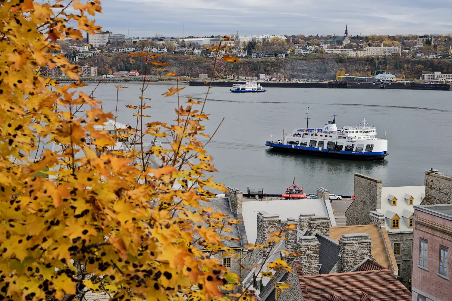 Ferry crossing the St. Lawrence River to Lévis seen through yellow fall leaves