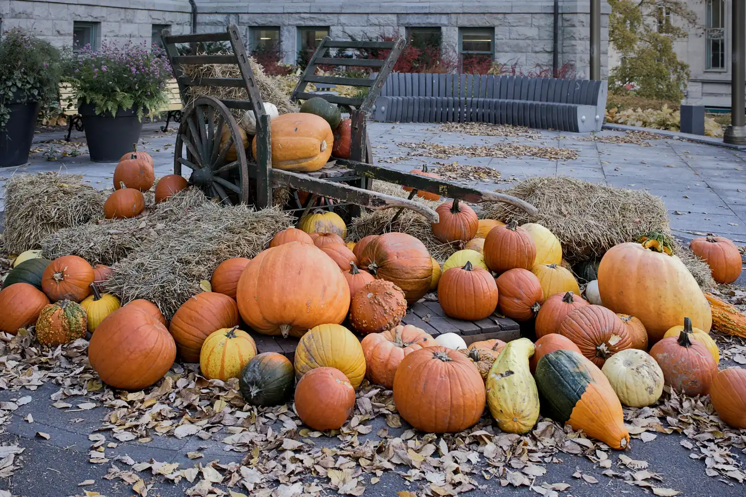 Pumpkins and gourds on hay bales around an old wooden cart in the fall