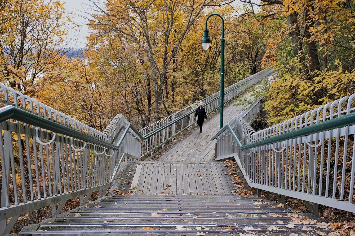 Wooden walkway on the Governors' Promenade lined with yellow trees, Québec City in the fall